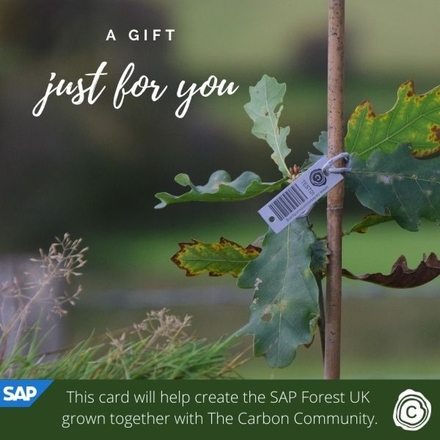 Send Gift eCards supporting SAP Forest UK in partnership with The Carbon Community eCards