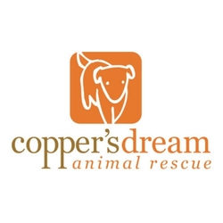 Copper's Dream Rescue eCards