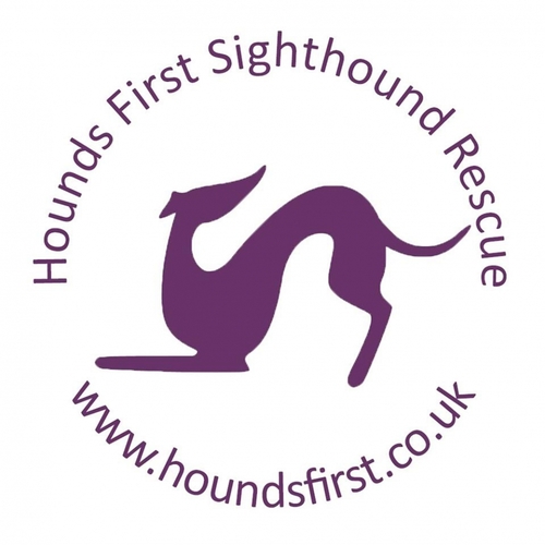 Hounds First Sighthound Rescue eCards