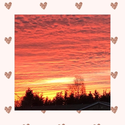 Blank for all occasions  eCards