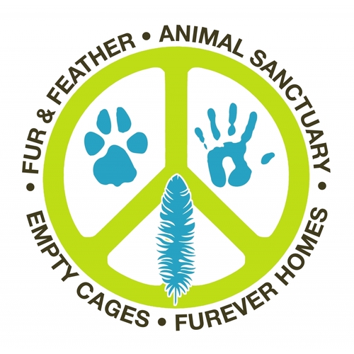 FUR & FEATHER ANIMAL SANCTUARY eCards