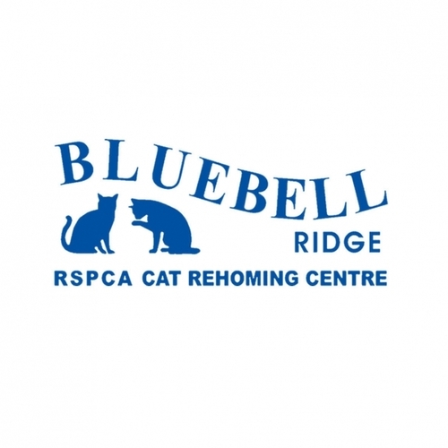 RSPCA Sussex East & Hastings Branch (Bluebell Ridge) eCards