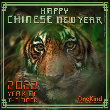 Chinese New Year 2022 - send e-cards! eCards
