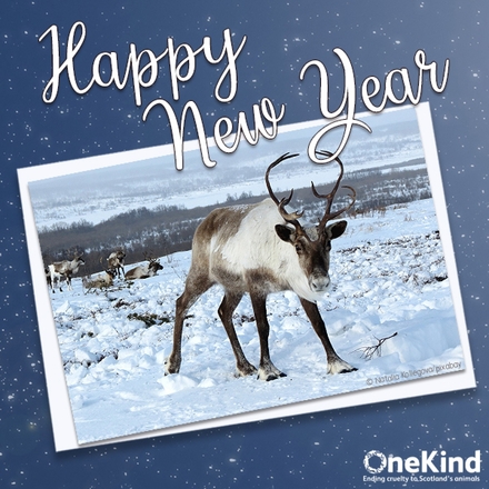 Send New Year e-cards eCards