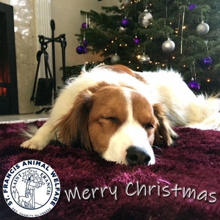 Send Corporate Christmas E-Cards eCards