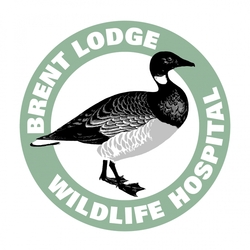 Brent Lodge Wildlife Hospital eCards