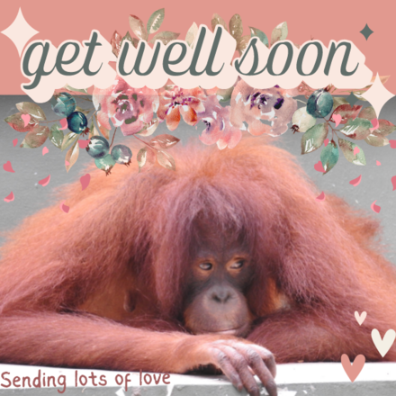 Send a thoughtful E-card eCards