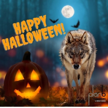 Send a Halloween E-Card eCards