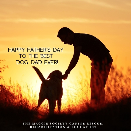 Send a Father's Day card to your favorite dog dad eCards