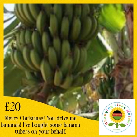 Plant a sustainable future for orphans & vulnerable people, £20 will provide banana tubers eCards