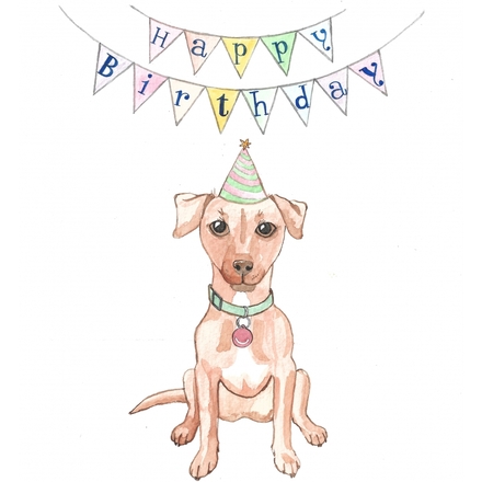 Send a Birthday E-Card eCards