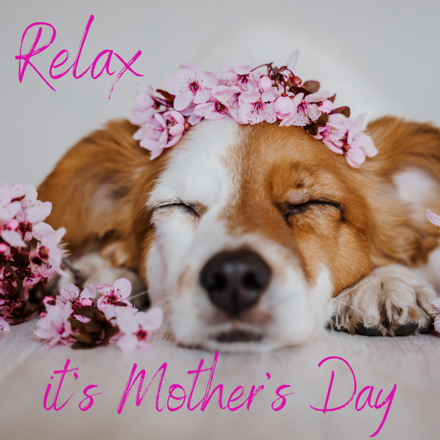 Send a Mother's Day Card eCards