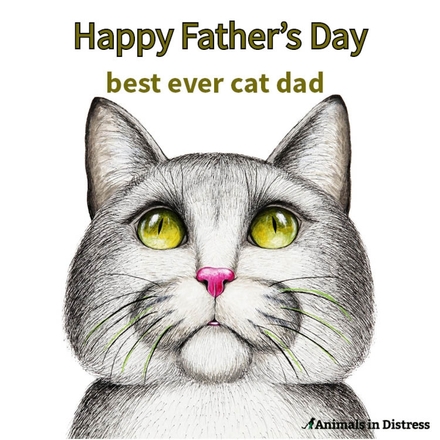 Send a Father's Day E-Card eCards