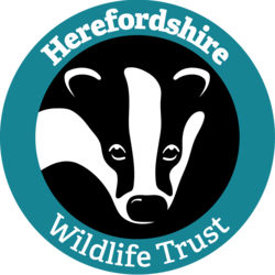 Herefordshire Wildlife Trust eCards