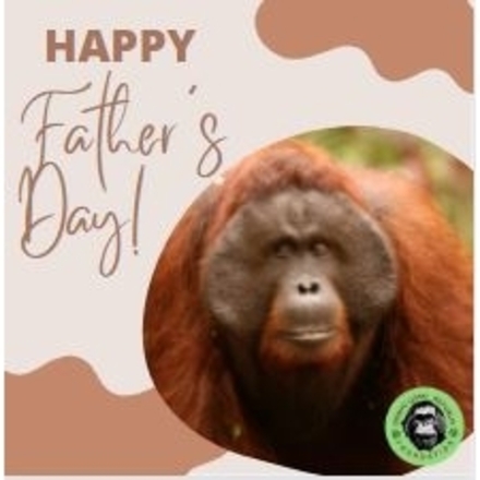 Send a Father's Day E-Card eCards