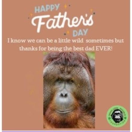 Send a Father's Day ECard eCards
