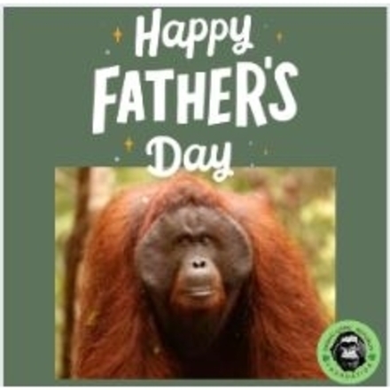 Send a Father's Day E-Card eCards