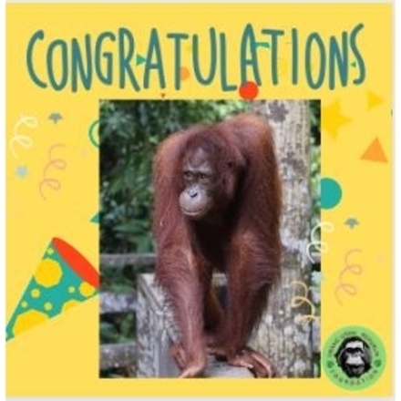 Send a Congratulatory E-Card eCards