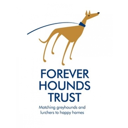 Forever Hounds Trust eCards