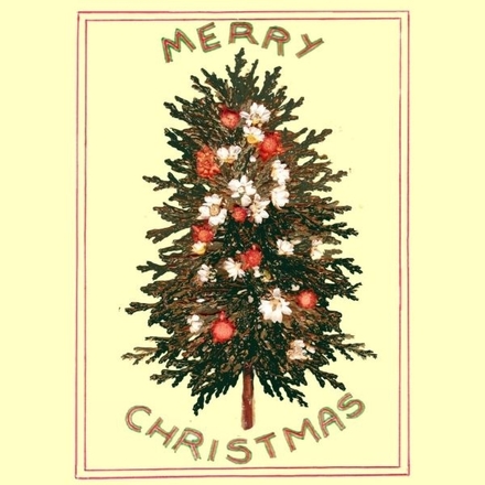 Send a Christmas e-Card designed by Fiona Smith eCards