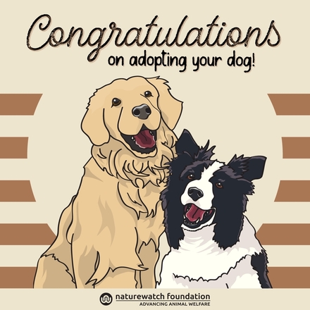 Send a 'Congratulations on getting your dog' e-card eCards