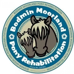 Bodmin Moorland Pony Rehabilitation eCards