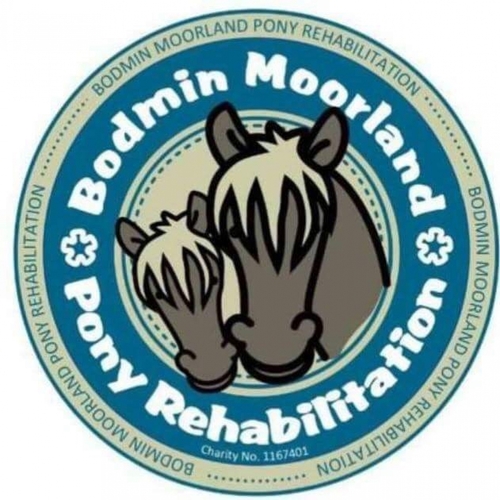 Bodmin Moorland Pony Rehabilitation eCards