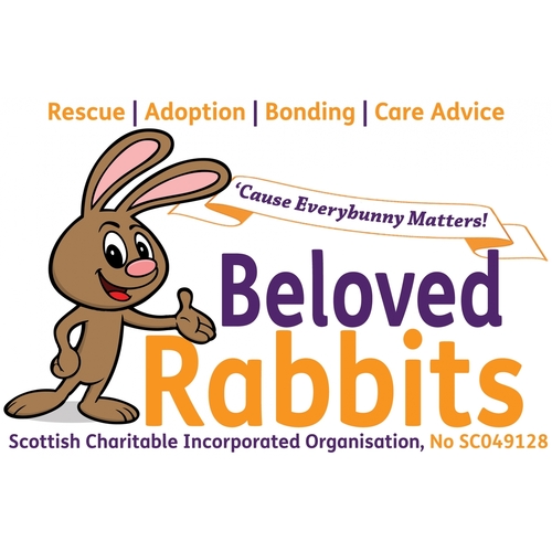 Beloved Rabbits eCards