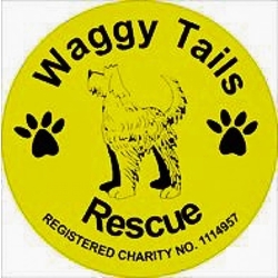 Waggy Tails Rescue eCards