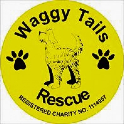 Waggy Tails Rescue eCards
