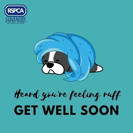 Send a Get Well Soon e-card eCards