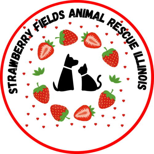 Strawberry Fields Animal Rescue Illinois eCards