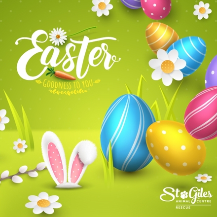 Send Easter E-Cards eCards