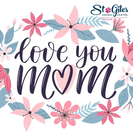 Send a Mother's Day E-Card eCards