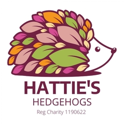 Hattie's Hedgehogs eCards