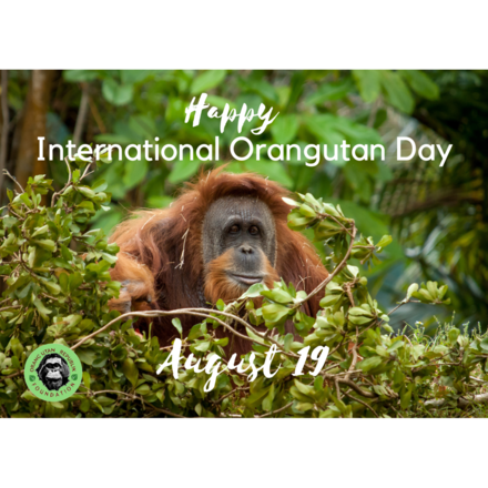 Happy International Orangutan Day!! eCards