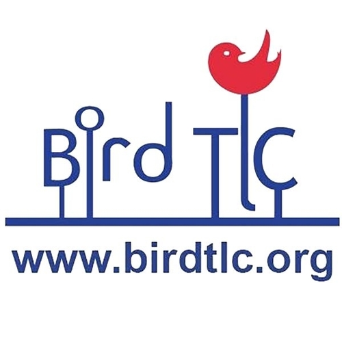 Bird Treatment and Learning Center eCards