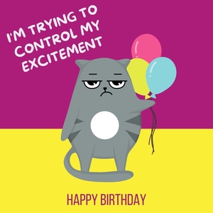 Funny grumpy cat birthday ecard.