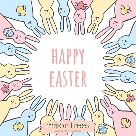 Send Easter E-Cards eCards