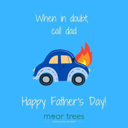 Send a Father's Day E-Card eCards