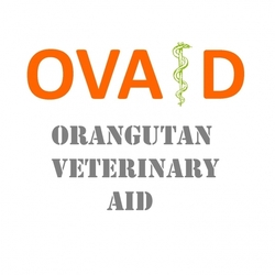 Orangutan Veterinary Aid eCards