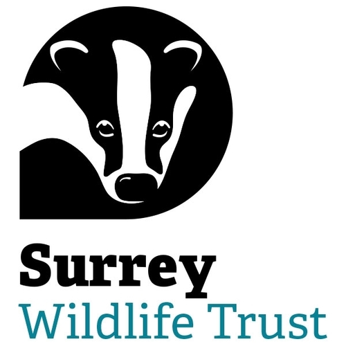 Surrey Wildlife Trust eCards