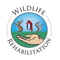 Wildlife Rehabilitation Society of Saskatchewan eCards