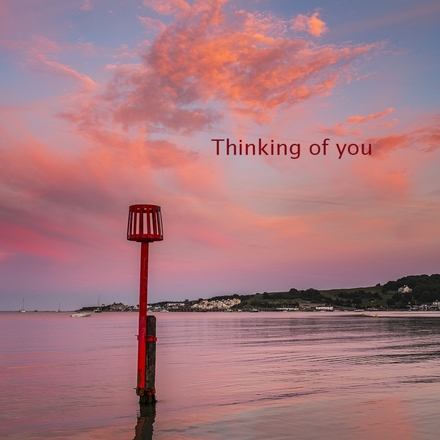 Send Thinking of You E-Cards eCards