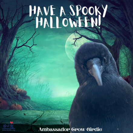 Send Halloween e-Cards to Friends and Family! eCards