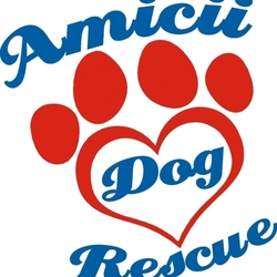 Amicii Dog Rescue eCards