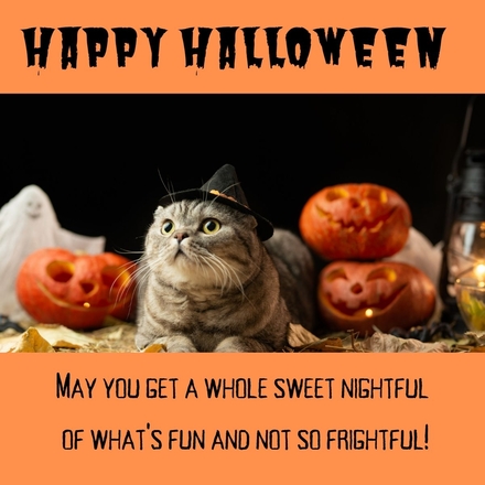 Send Halloween E-Cards to Support CATS Bridge to Rescue eCards