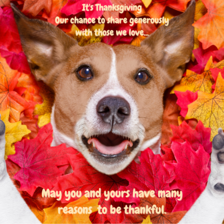 Send Thanksgiving E-Cards to Support CATS Bridge to Rescue! eCards