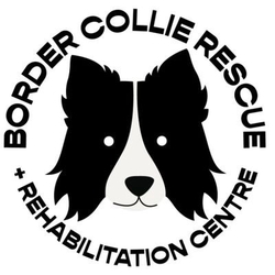Border Collie Rescue & Rehab eCards