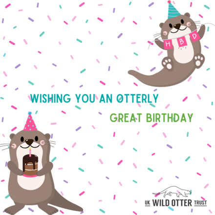 Send a Birthday E-Card eCards
